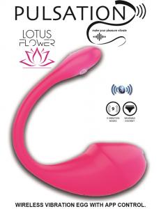 Pulsation (rose red)